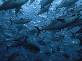 Photograph By National Geographic