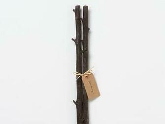 Birch Accents Slideshow Home Garden Purewow National