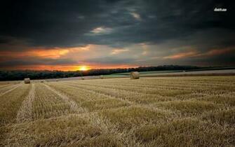 Hay Bales In The Sunset Wallpaper Nature