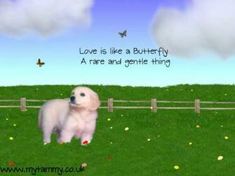 Welcome To T Rnrosdalen S Samoyeds 38kb