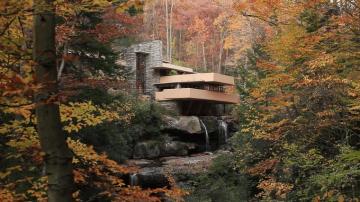 Fallingwater Cinemagraphs