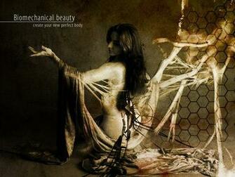 Biomechanical Wallpaper Beauty2 By