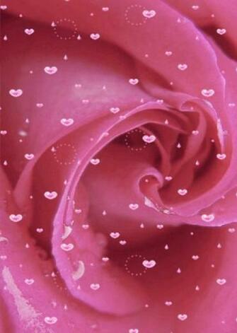 Pink Rose Live Wallpaper Screenshot