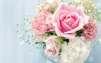 Roses Flowers Carnations White Flower Rose Wallpaper Background