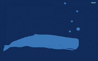 Blue Whale Widescreen HD Wallpaper