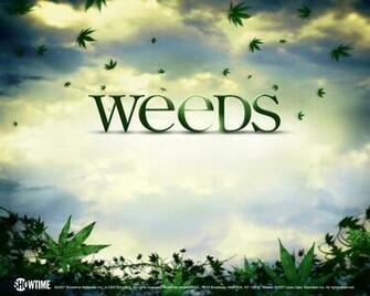 Weeds Wallpaper Weed HD P Courses