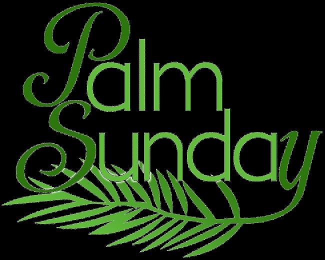 Happy Palm Sunday Image Whatsapp Dp Fb Profile Cover HD Wallpaper