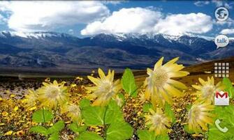 Flowers Live Wallpaper Android Apps On Google Play