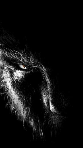 A Quiet Place Phone Wallpaper The Wolfman
