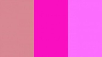 Blush Shocking Pink And Crayola Three Color Background