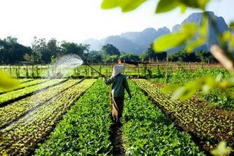 Vietnam Travel Photographer Documentary Ehrin