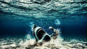 Similar Design Desktop Shark Live Wallpaper Dowload