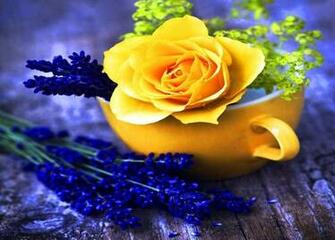 Yellow And Blue Wallpaper