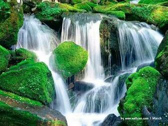 Early Spring Scene Wallpaper
