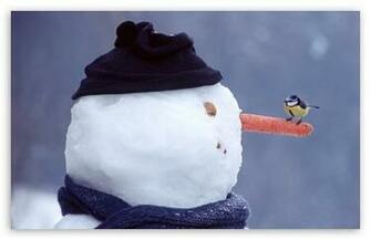 Funny Snowman Wallpaper