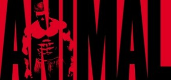 Wallpaper HD For Your Desktop Smartphone Tablet