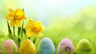 Cute Easter Eggs HD Wallpaper Wallpaperfx