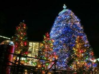 Christmas Tree Screensaver Screensavers