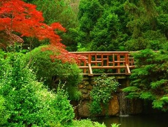 Japanese Garden Wallpaper By Slonecker