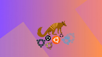 Numbat Wallpaper