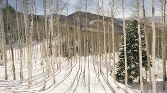 Wasatch Mountains Bing Wallpaper