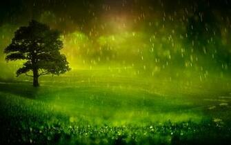 Nature Rain Wallpaper