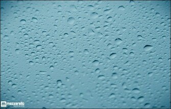 Raindrops On A Leaf Wallpaper