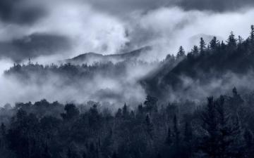 Wallpaper Trees Landscape Forest Mountains Nature Sky Snow
