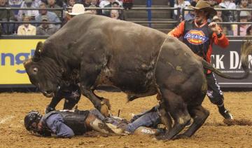 Bull Riding Bullrider Rodeo Western Cowboy Extreme Cow