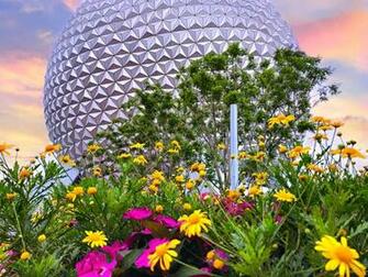 Epcot Flower And Garden Festival Guide