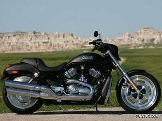 Click To Enlarge Harley Davidson Exclusive Wallpaper