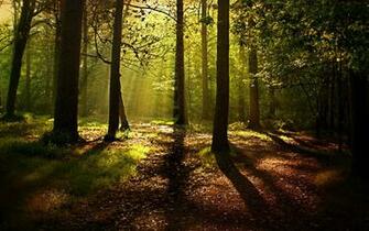 Best Hideaway Wallpaper Bora