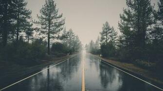 Nature Mist Landscape Reflection Trees Rain Forest