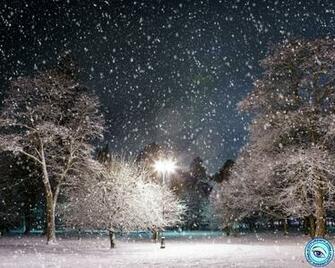 Snow Falling Picture