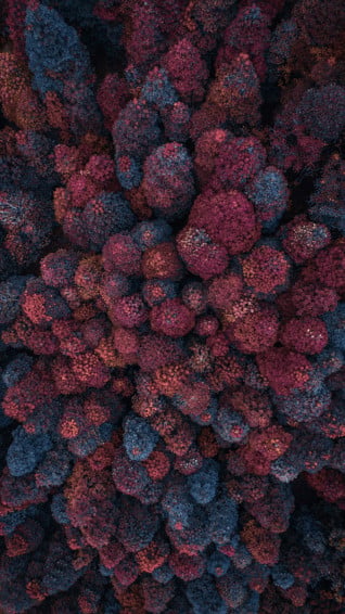 Abstract Mobile Best Wallpaper Background