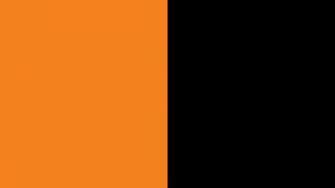 Sixt Logo Color Scheme Black Schemecolor