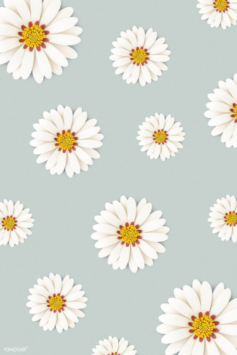 Daisy Aesthetic Wallpaper