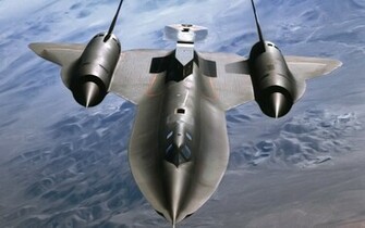 Blackbird Wallpaper Sr