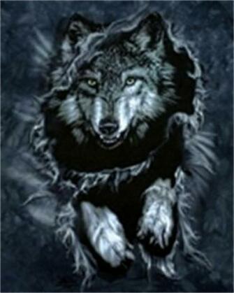 Wolf Phone Wallpaper By Dan