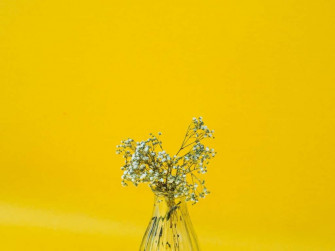 Minimalist Flower Computer Wallpaper