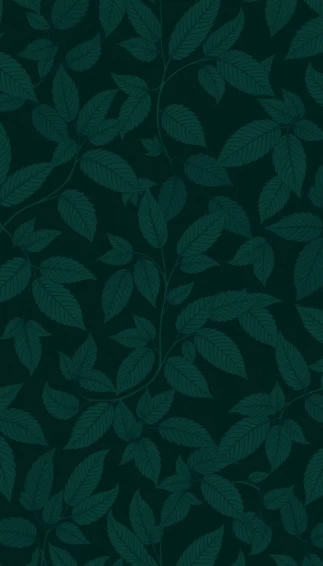 Best Dark Green Wallpaper