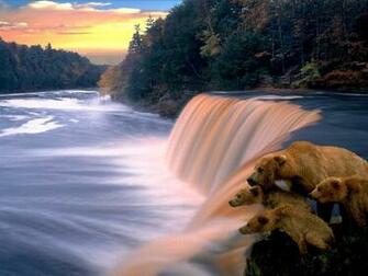 Peaceful Water Fall Wallpaper HD Background Image Pictures