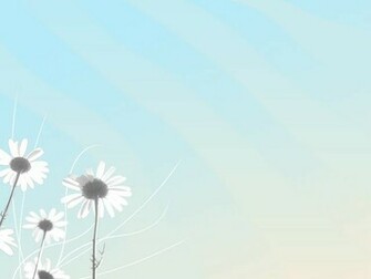 Soothing Wallpaper Walltor