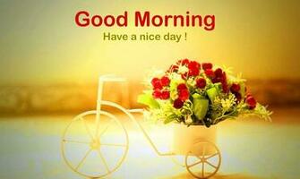 Good Morning Image Photo Wallpaper Picture