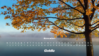 November Wallpaper Calendars Desktop Mobile