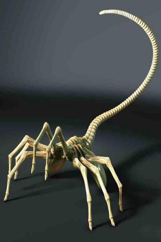 Face Hugger Alien Wallpaper Background HD
