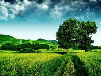 High Quality Nature Wallpaper Definition