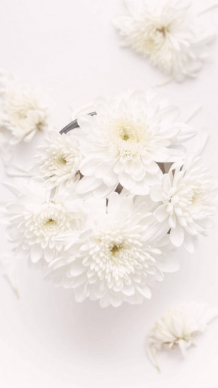White Flower iPhone Wallpaper