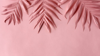 Baby Pink Wallpaper