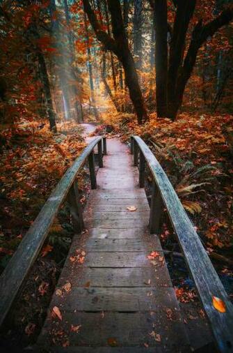 Leanna Mclean On Oregon Trail Fall Wallpaper Autumn